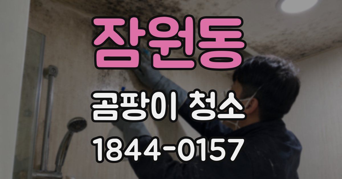 잠원동 곰팡이 청소