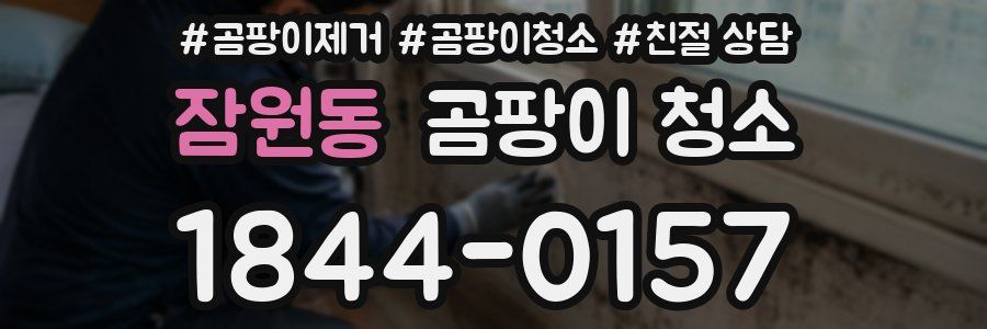 잠원동 곰팡이 청소