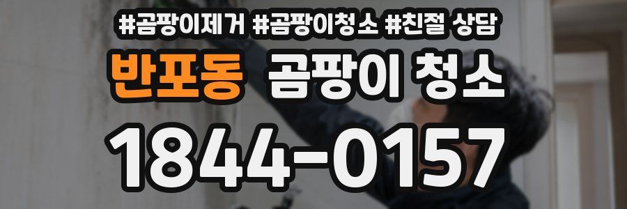 반포동 곰팡이 청소