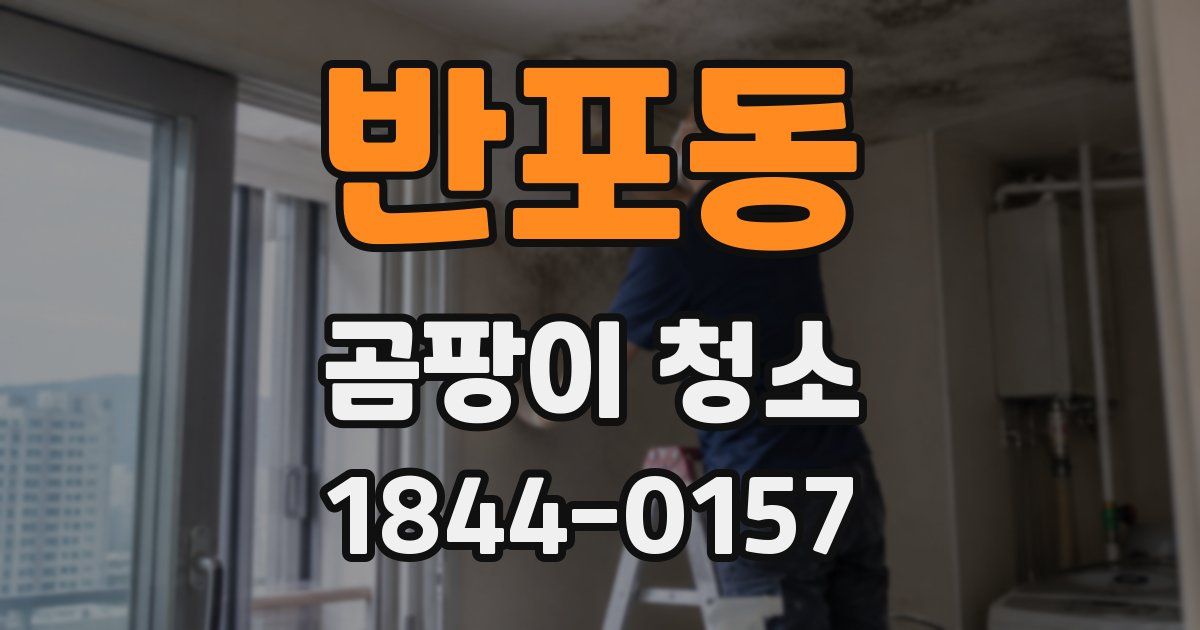 반포동 곰팡이 청소