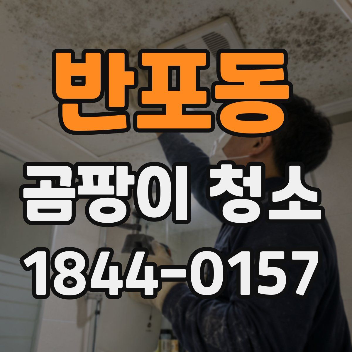 반포동 곰팡이 청소