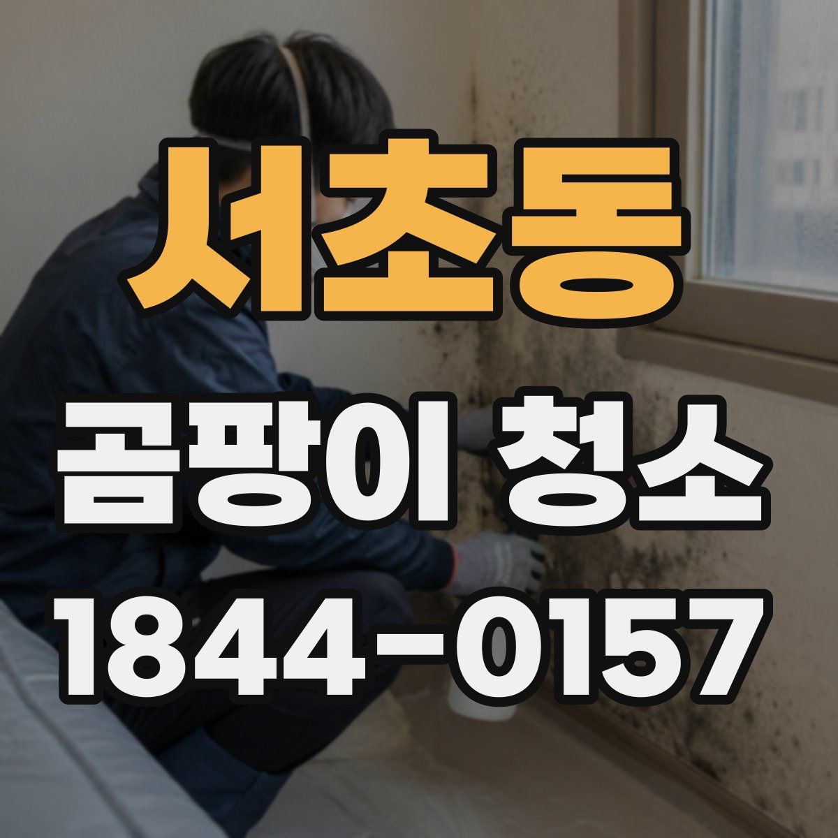 서초동 곰팡이 청소