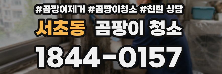 서초동 곰팡이 청소