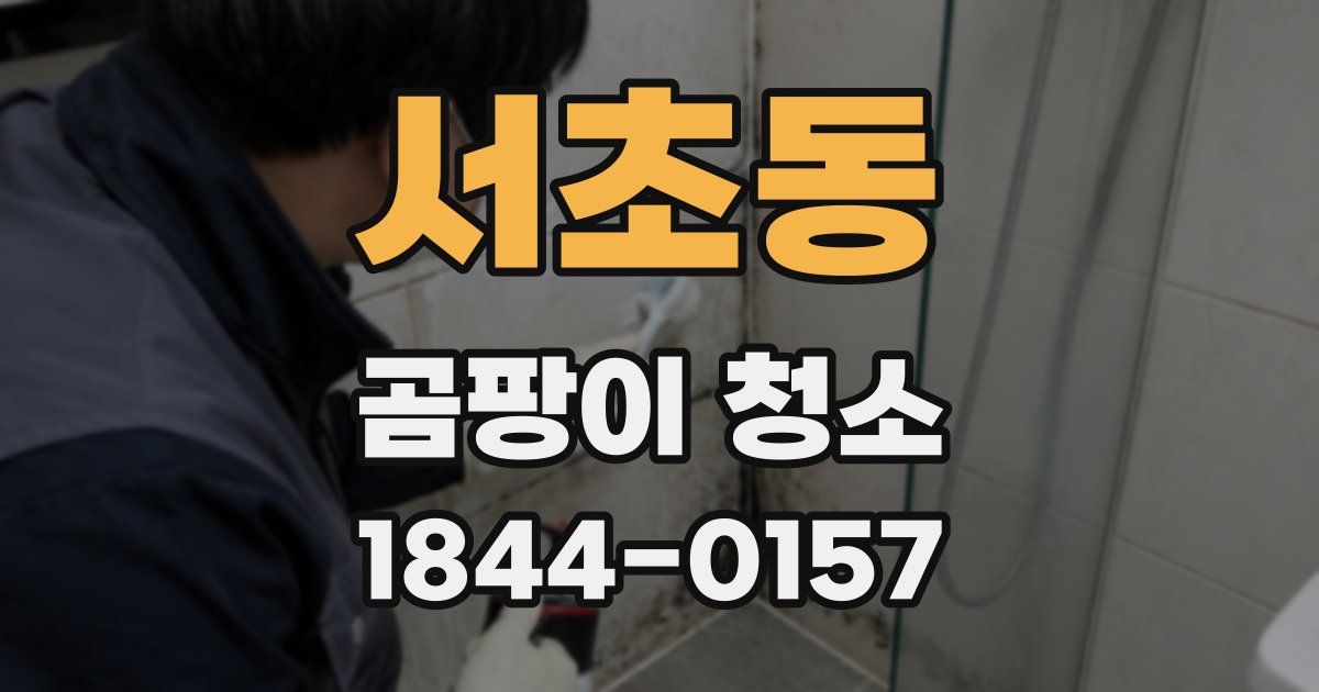 서초동 곰팡이 청소