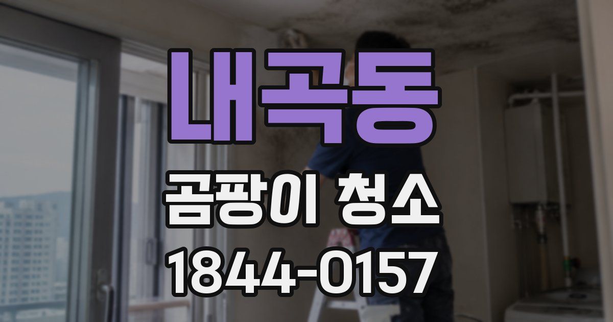 내곡동 곰팡이 청소
