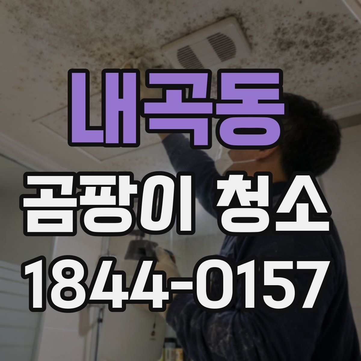 내곡동 곰팡이 청소