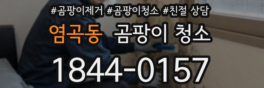염곡동 곰팡이 청소