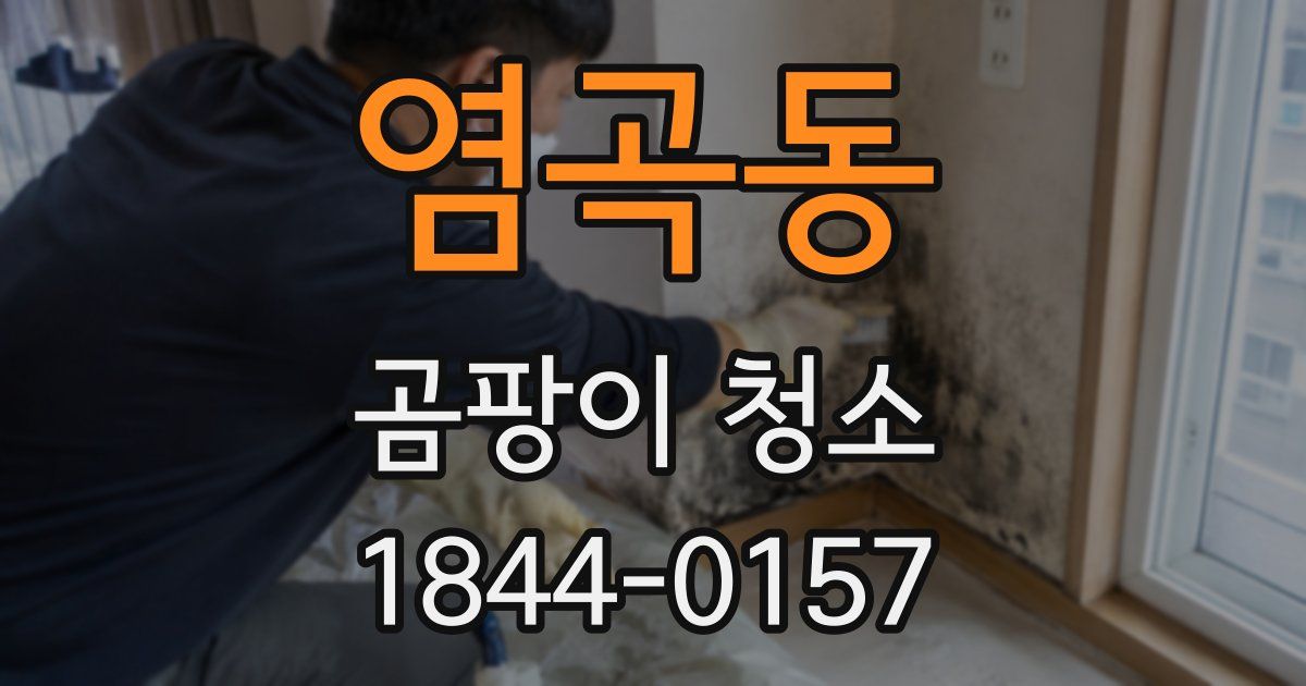 염곡동 곰팡이 청소