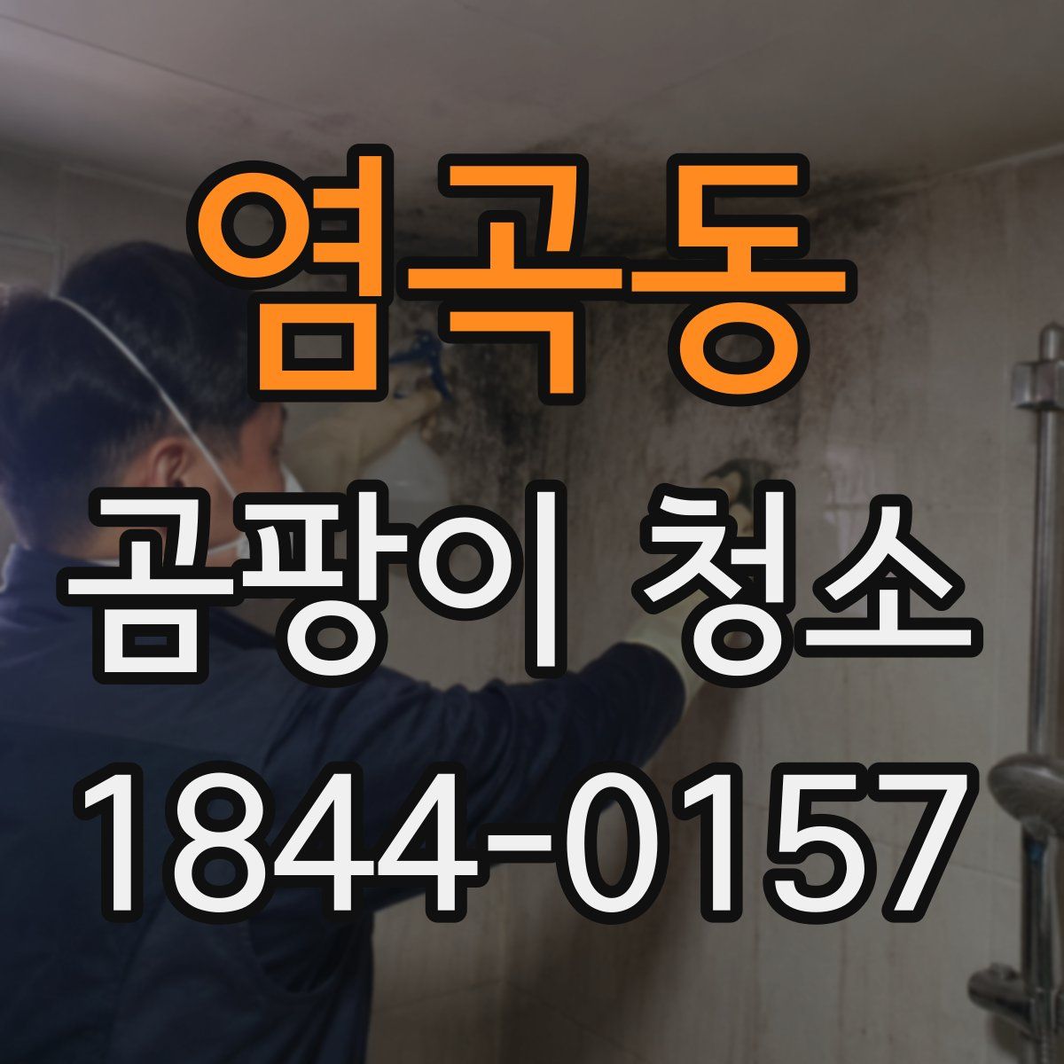 염곡동 곰팡이 청소