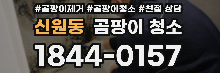 신원동 곰팡이 청소