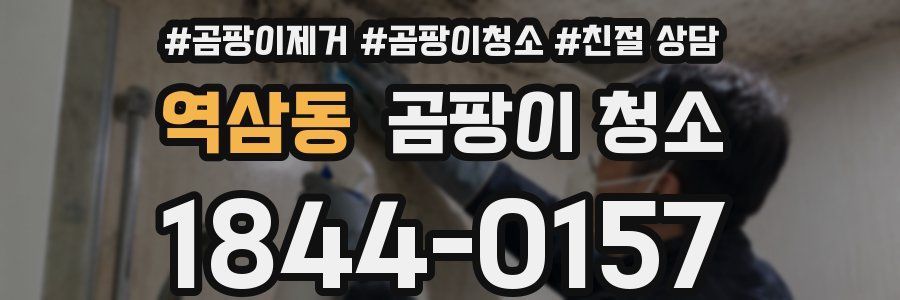 역삼동 곰팡이 청소