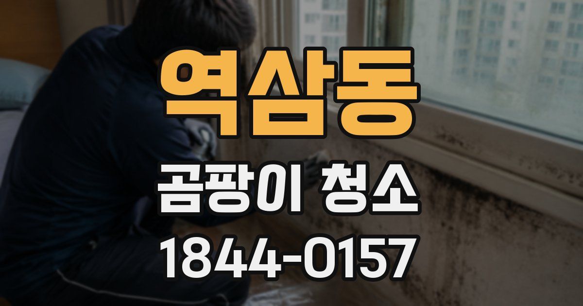 역삼동 곰팡이 청소