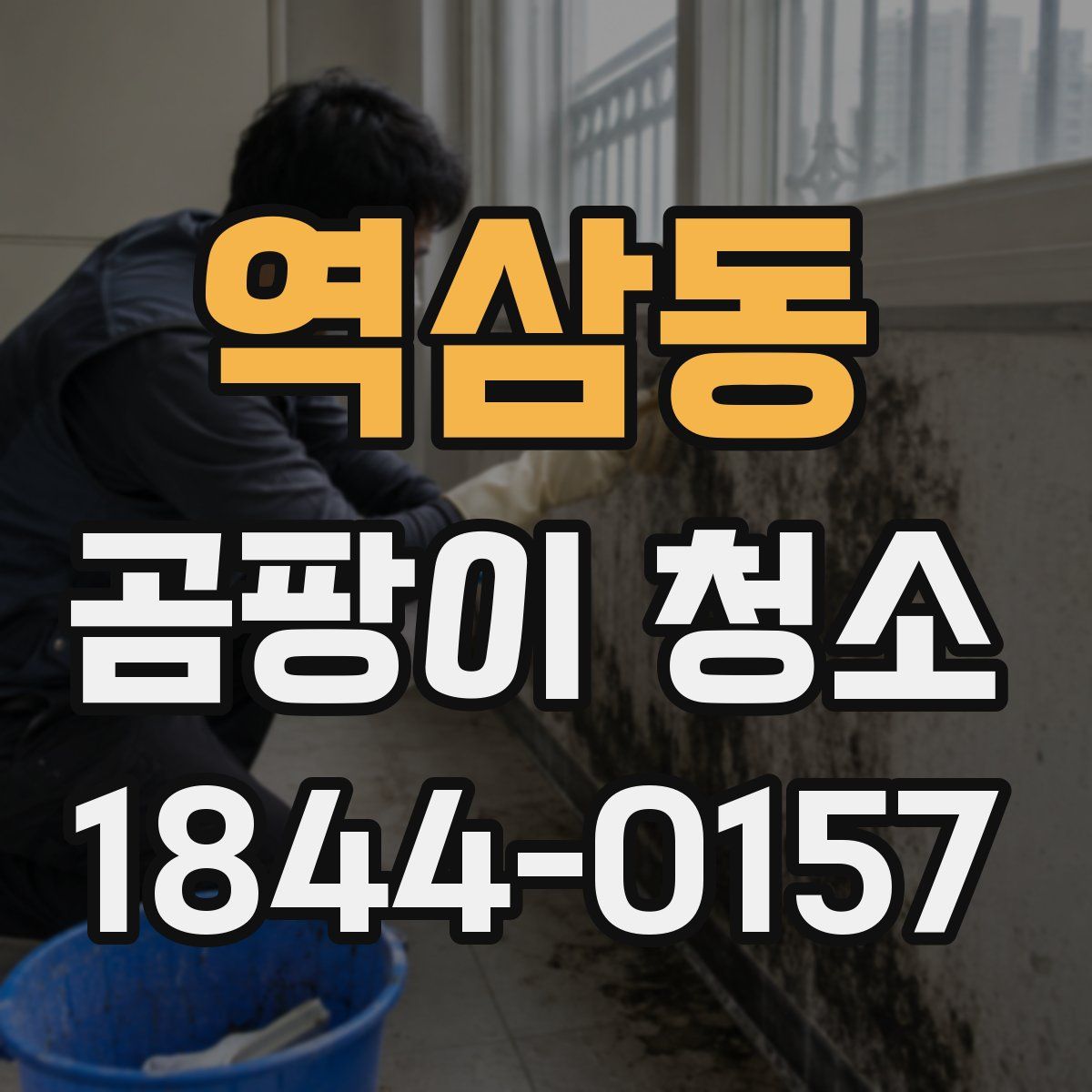 역삼동 곰팡이 청소