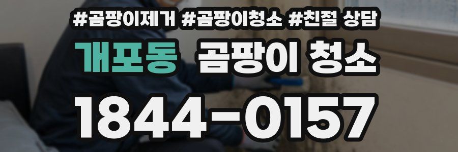 개포동 곰팡이 청소