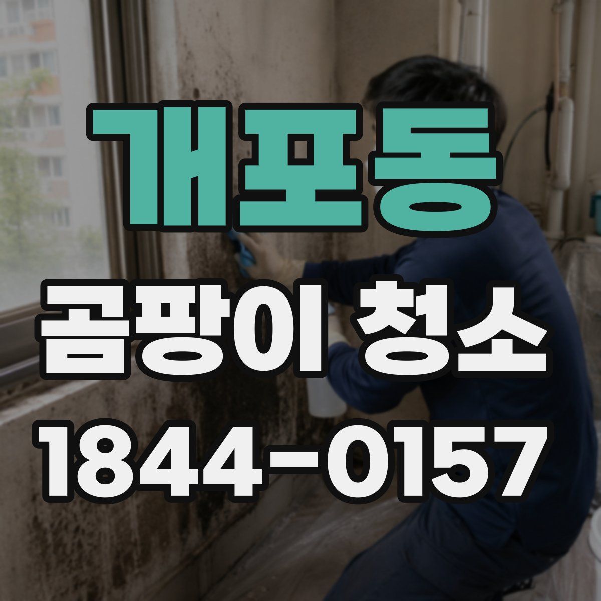 개포동 곰팡이 청소