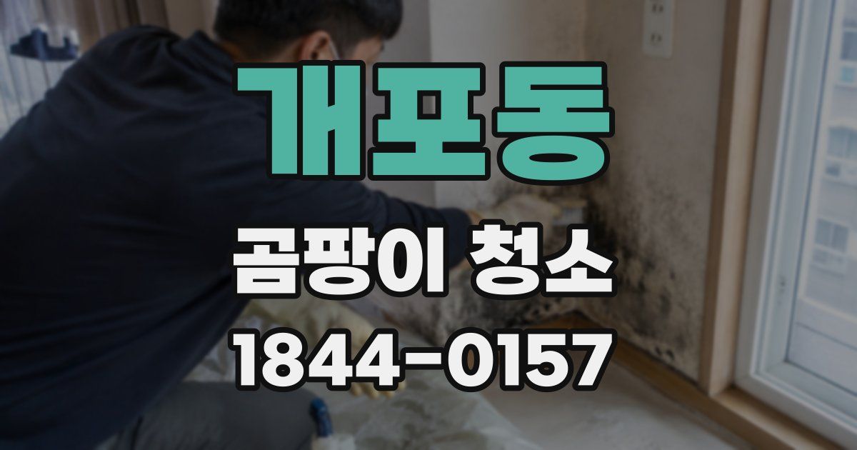 개포동 곰팡이 청소