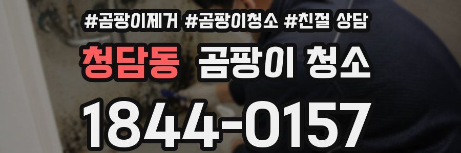 청담동 곰팡이 청소