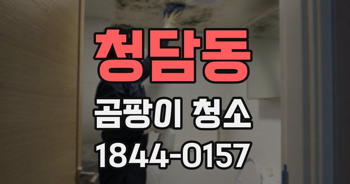 청담동 곰팡이 청소