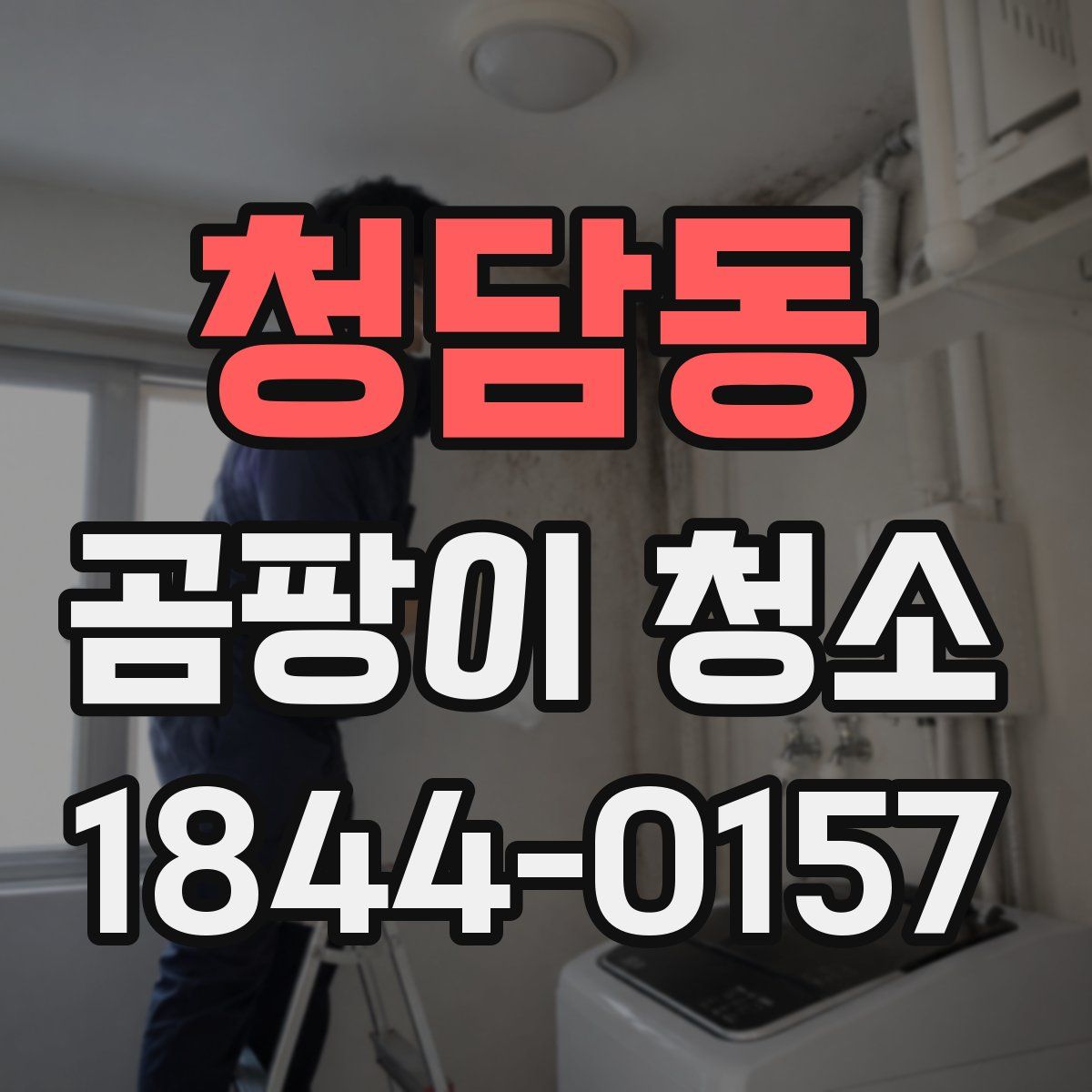 청담동 곰팡이 청소