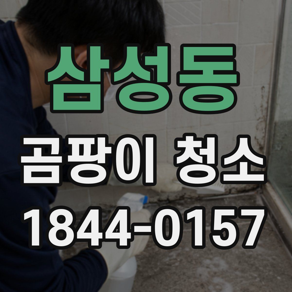 삼성동 곰팡이 청소