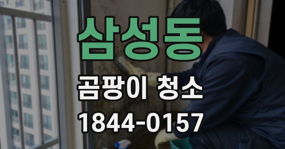 삼성동 곰팡이 청소