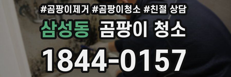 삼성동 곰팡이 청소