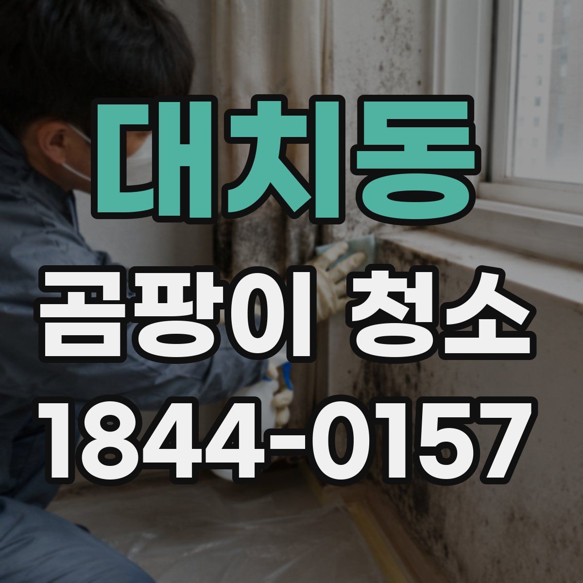 대치동 곰팡이 청소