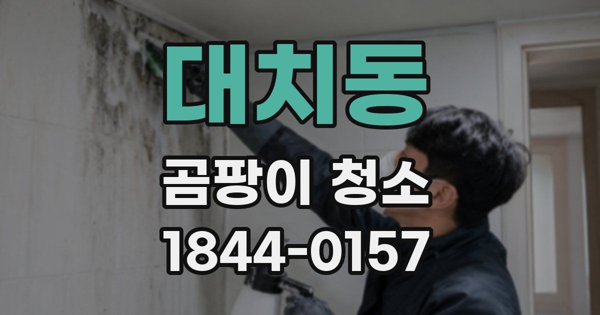 대치동 곰팡이 청소