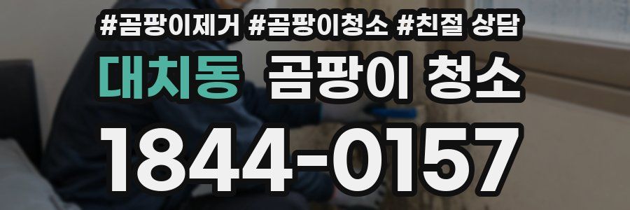 대치동 곰팡이 청소