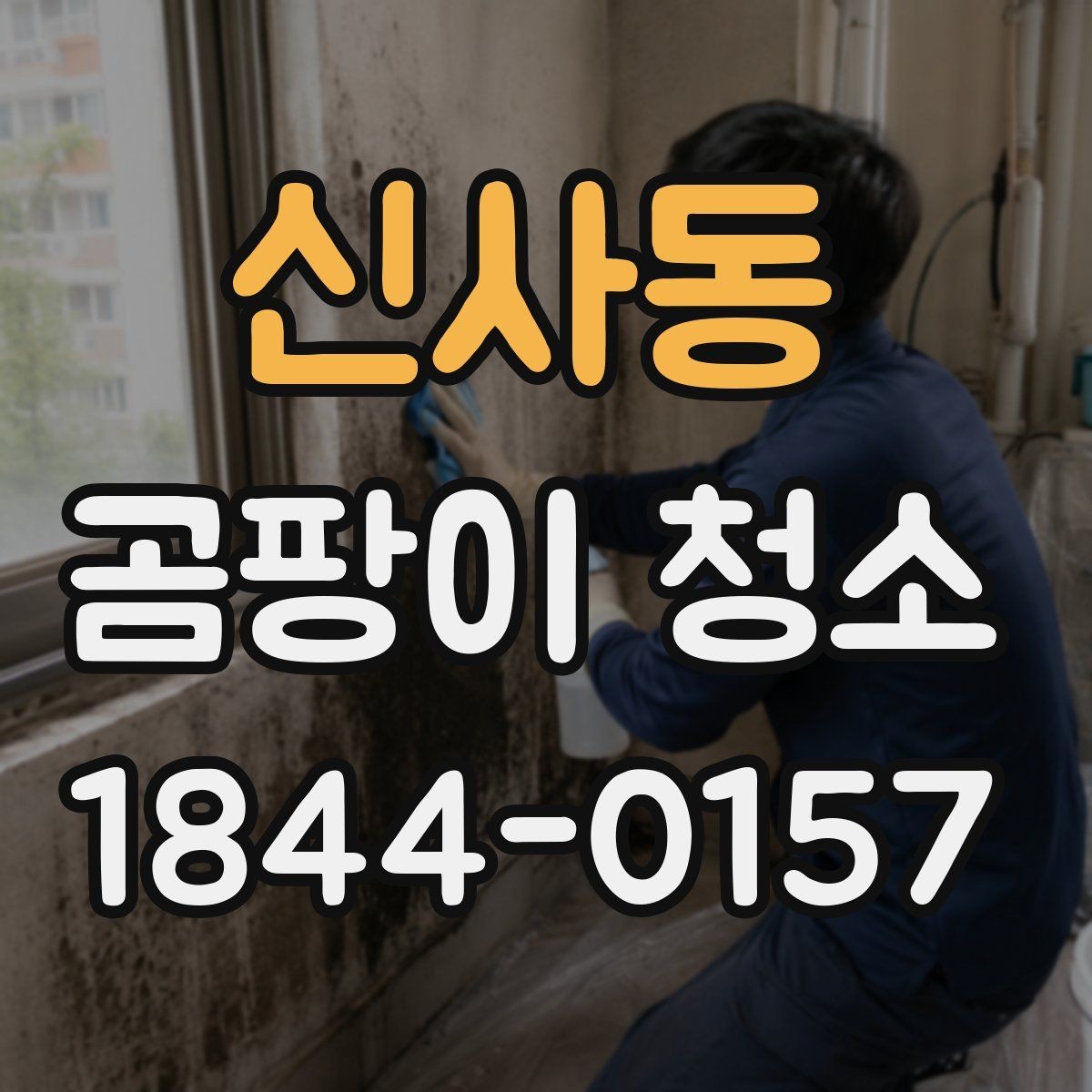 신사동 곰팡이 청소 후 재발을 줄이는 관리법