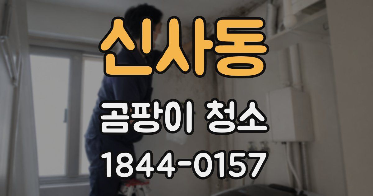 신사동 곰팡이 청소