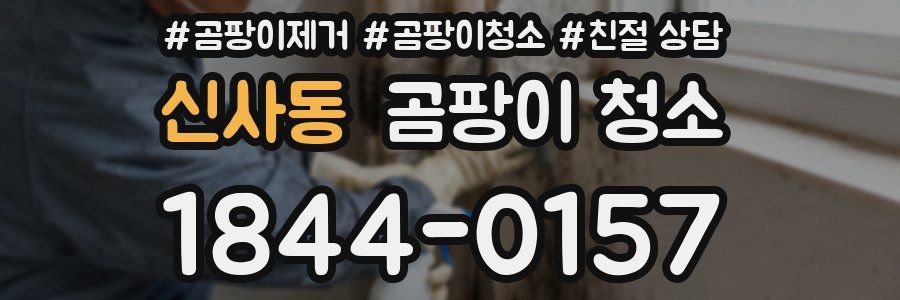 신사동 곰팡이 청소