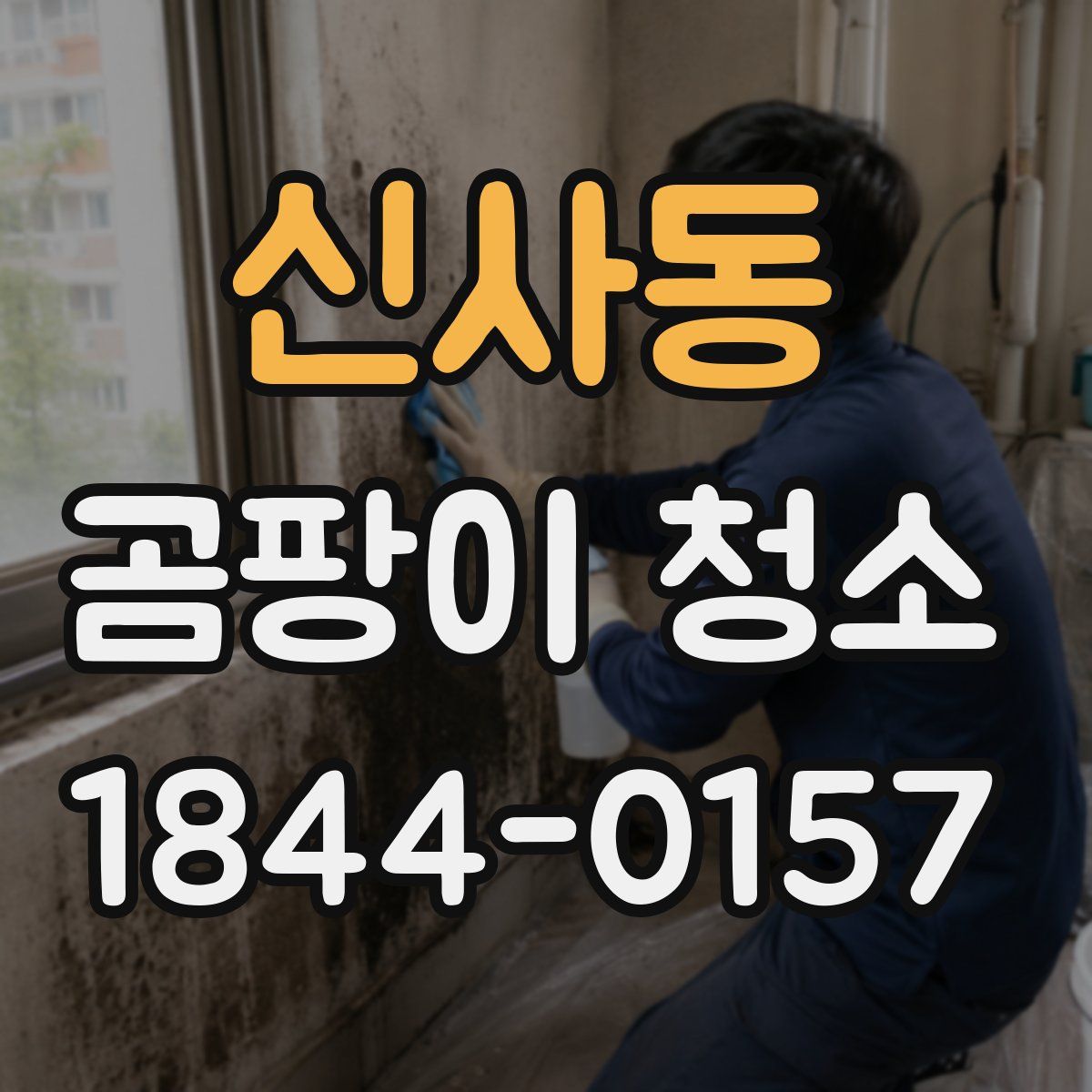 신사동 곰팡이 청소