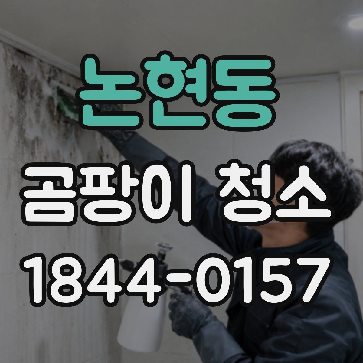 논현동 곰팡이 청소 과정에서 놓치기 쉬운 부분