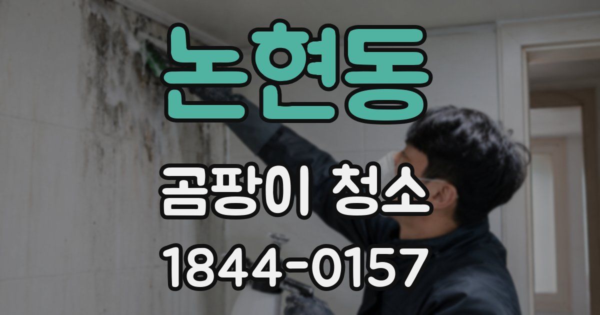 논현동 곰팡이 청소