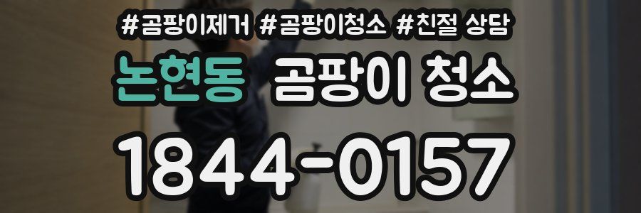 논현동 곰팡이 청소