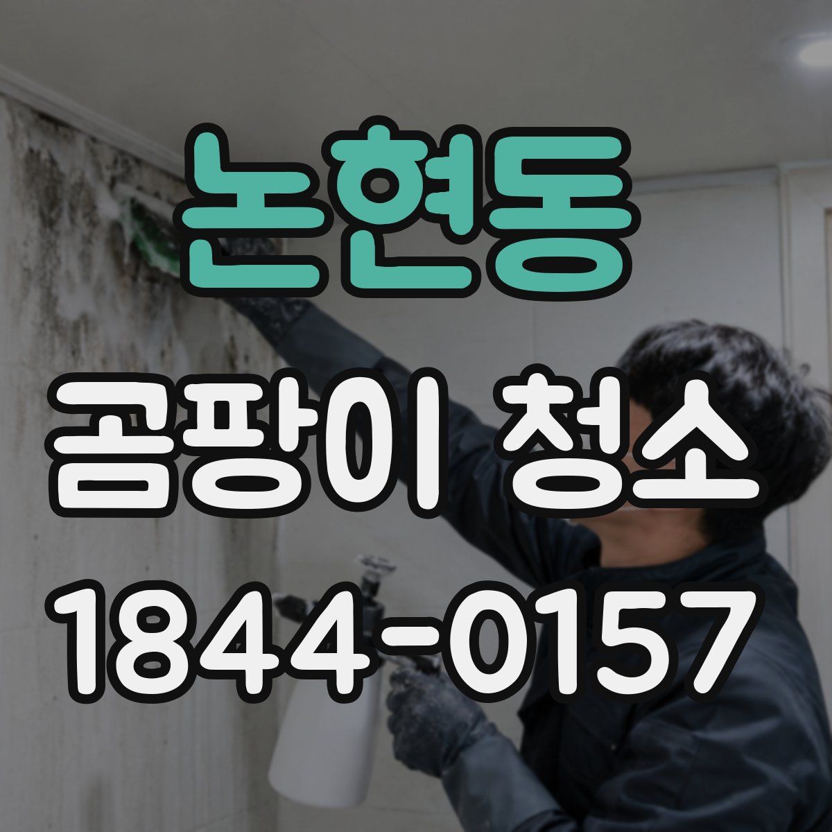 논현동 곰팡이 청소