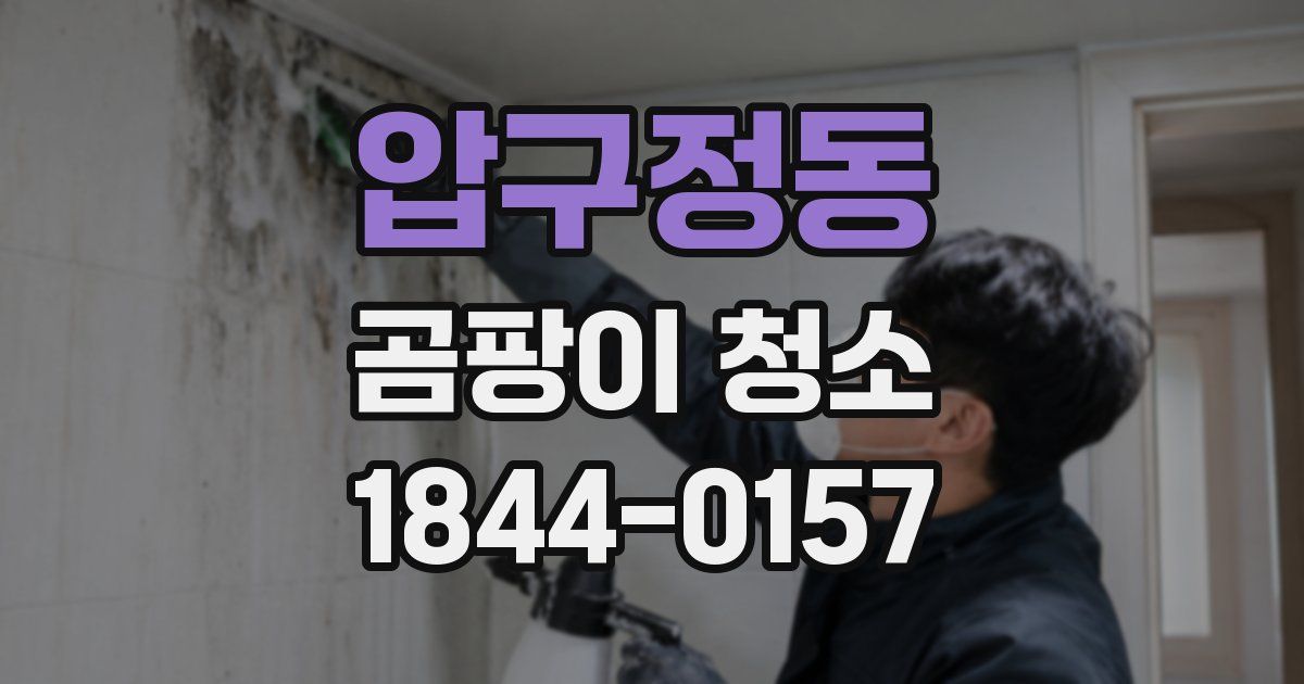 압구정동 곰팡이 청소