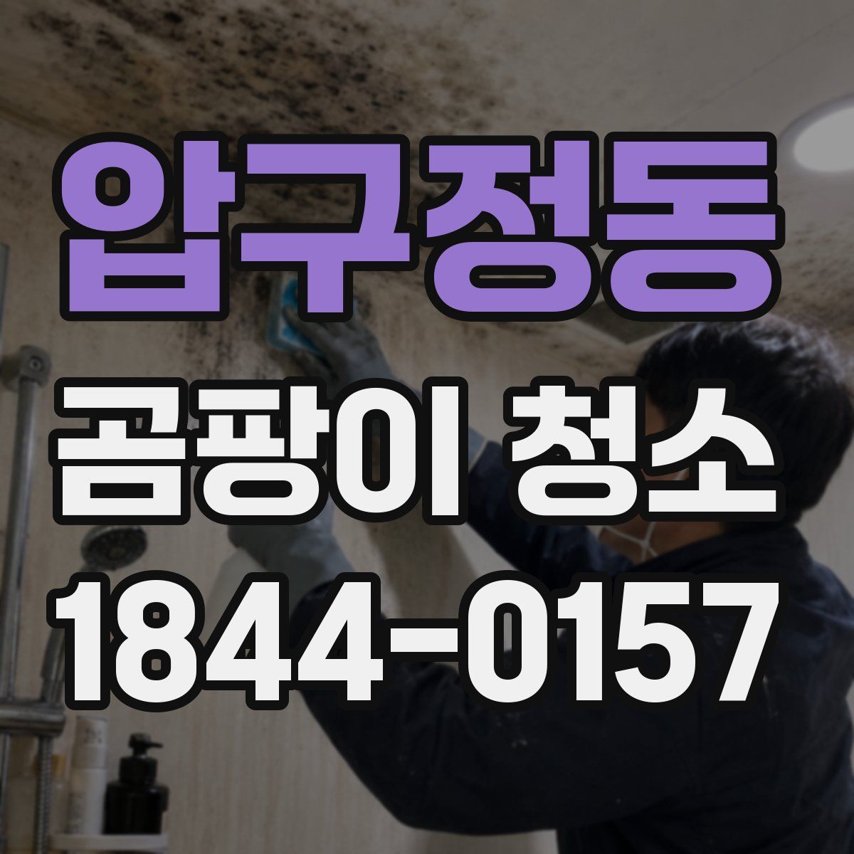 압구정동 곰팡이 청소