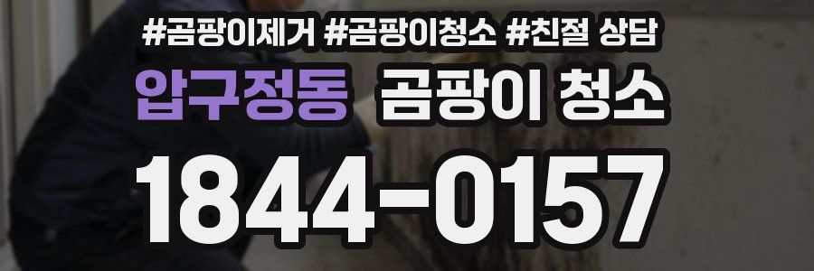 압구정동 곰팡이 청소