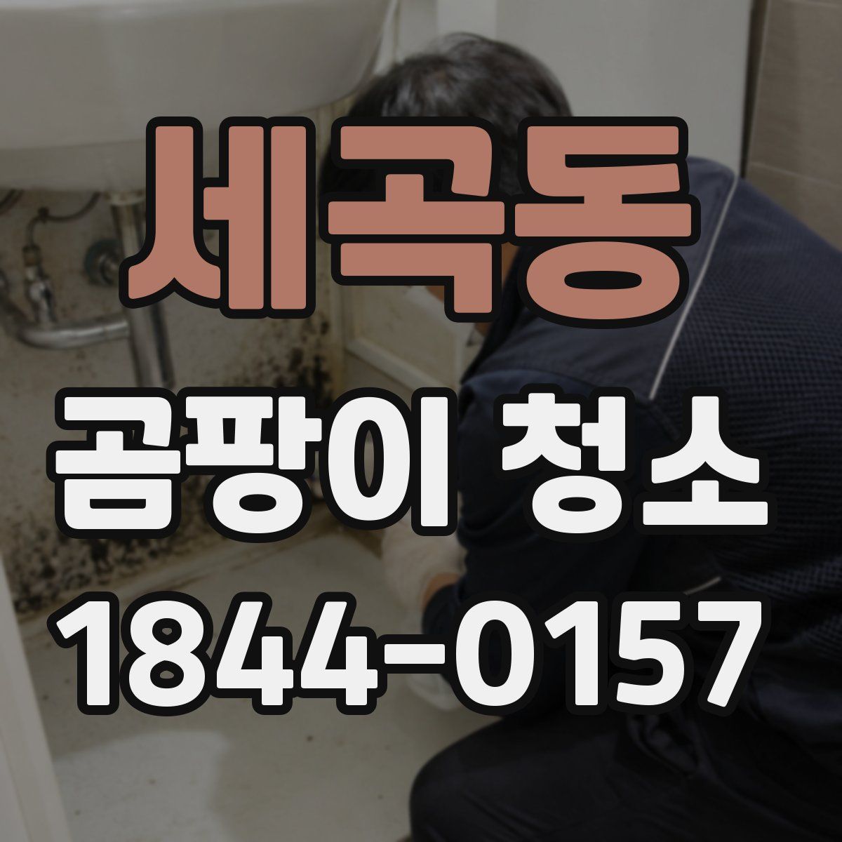 세곡동 곰팡이 청소