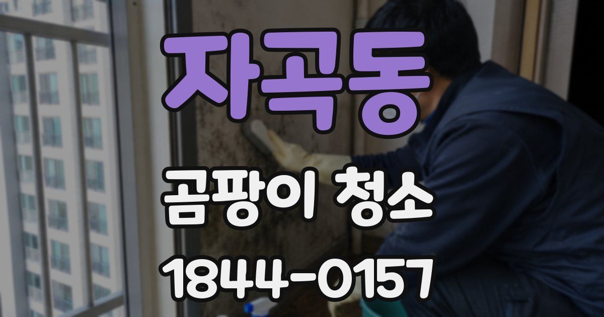 자곡동 곰팡이 청소
