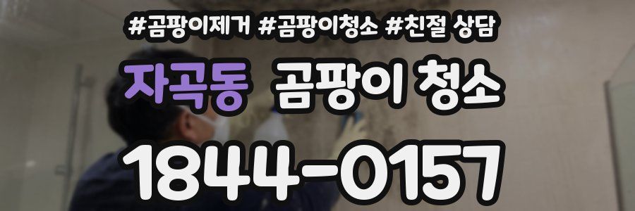 자곡동 곰팡이 청소