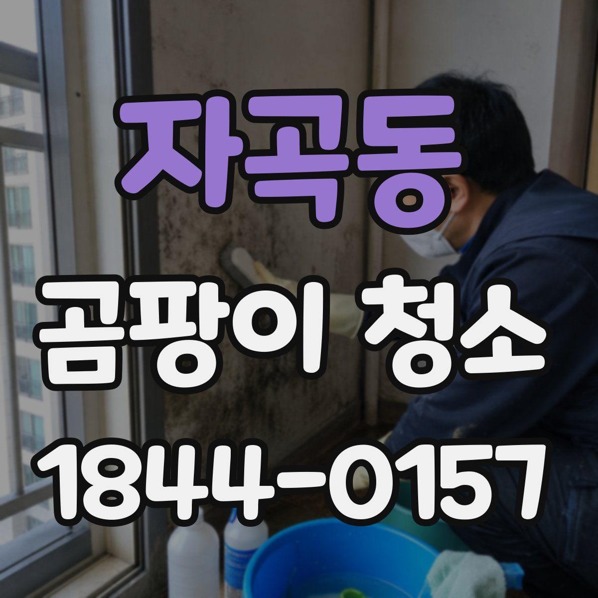 자곡동 곰팡이 청소