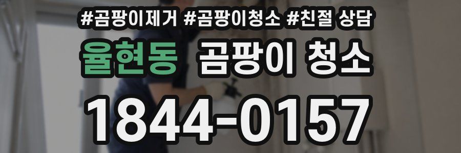 율현동 곰팡이 청소