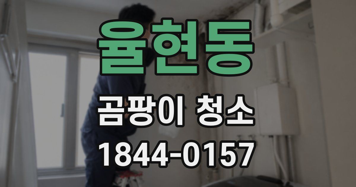 율현동 곰팡이 청소