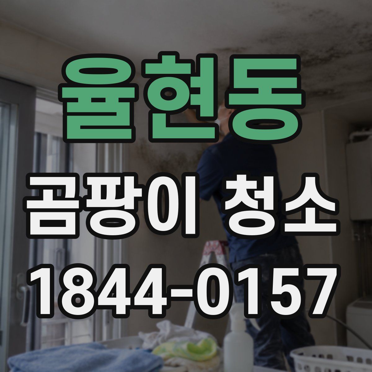 율현동 곰팡이 청소