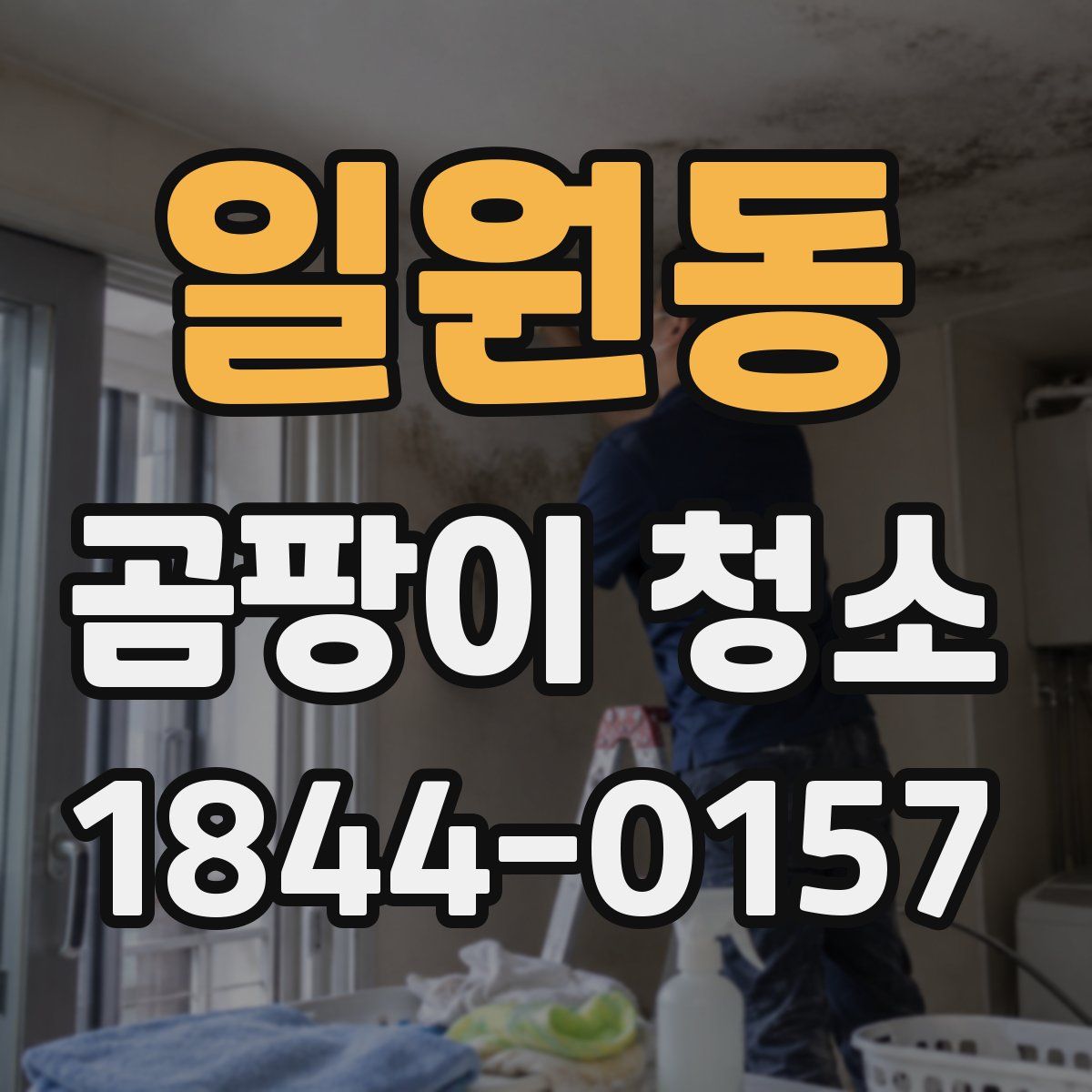 일원동 곰팡이 청소
