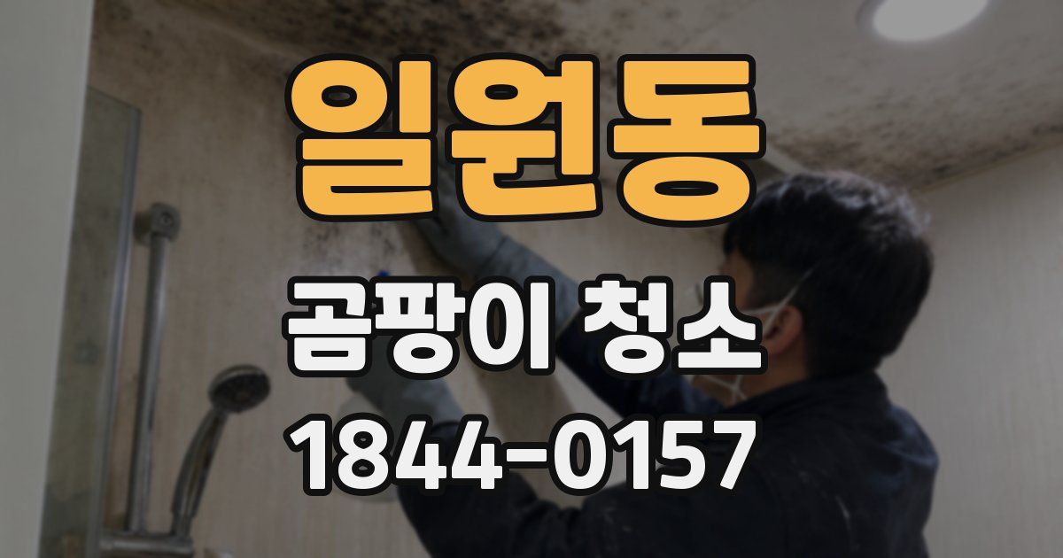 일원동 곰팡이 청소