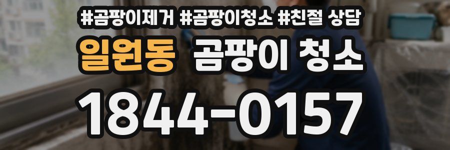 일원동 곰팡이 청소